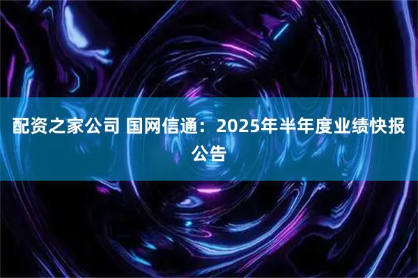 配资之家公司 国网信通：2025年半年度业绩快报公告